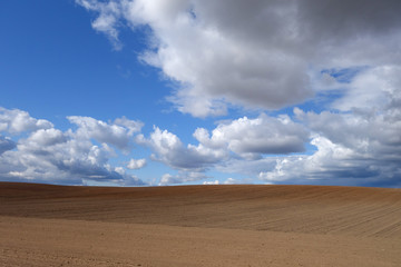 Cultivated agricultural field and cloudy sky.