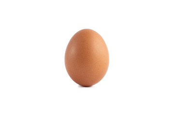 chicken egg isolated on white background