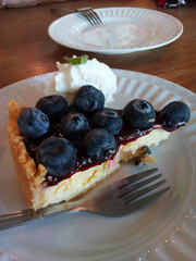 A piece of fresh blueberry cheese pie with whipped cream on a dessert plate
