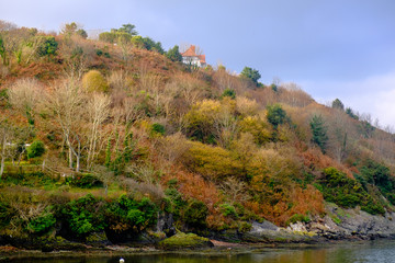 Hill with autumn trees and isolated cottage in in Fishguard, Wales