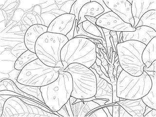 Hand drawn vector coloring book for children and adults - Tropical flowers and leaves. Line art illustration. Meditation 
