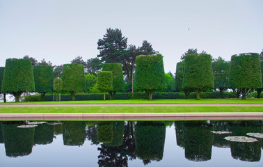 Fototapeta na wymiar Landscape design, neatly trimmed trees in Colleville Sur Mer, France. Beautiful landscaped garden with green trees trimmed in the shape of a cylinder with reflection in water.