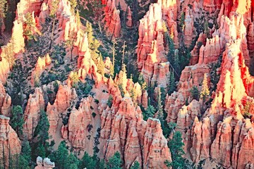 Utah