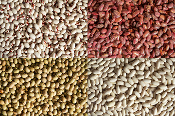 Background of four types of beans: red, white, green and soldier beans