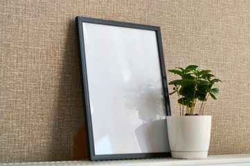 Green houseplant in pot and white empty canvas for inscription in black frame.
