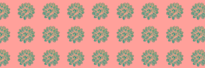 Beautiful pattern of green succulent on coral pink color background. Trendy concept. Flat lay.