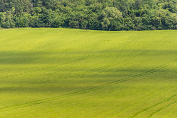 Fototapeta na wymiar Moravian fields in the Czech Republic