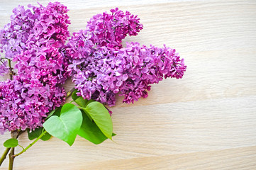Sprigs of freshly cut purple lilac on a light beige wooden background. Greeting card for mother's day or birthday with copy space. Top view. Horizontal photo.