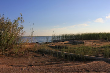rural landscape in the morning