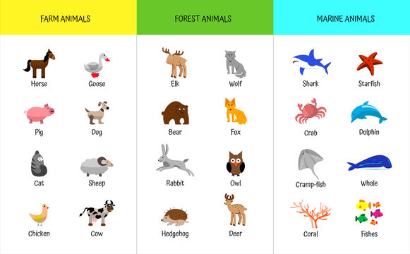 Farm, forest, sea marine animals set. Educational flashcard for preschoolers. Home study of zoology. Goose, cow, wolf, fox, stingray, whale, dolphin, crab, fish, rabbit, ram
