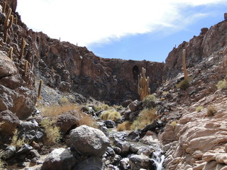 Viagem ao Deserto do Atacama