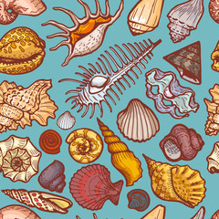 Ocean cockleshell and seashell seamless pattern concept banner, cartoon vector illustration. Sea old dweller, trip explore wildlife. Wrapping paper, celebrate design packaging for travel item, stuff.