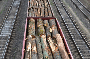 Freight wagons with stacks of timber on the railway. View from above.