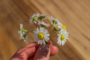 G&auml;nsebl&uuml;mchen