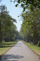 Obraz premium Middle way