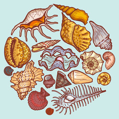 Seashell round icon concept isolated on blue, cartoon vector illustration. Ocean cockleshell explore sea wildlife, set shell object mollusc. Seaside fossil dweller pearl mining and meat.