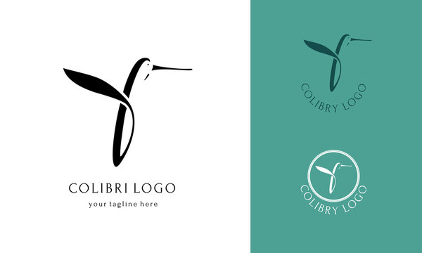 Colibri bird logotype. Letter B with wings. Line logo for animal shop or natural medical products products agency