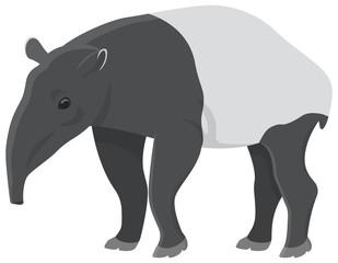 Tapir in cartoon style. Unusual animal isolated on white background.