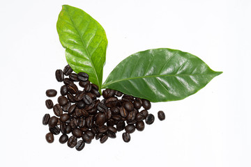coffee beans on white background