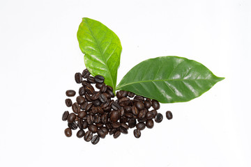 coffee beans on white background
