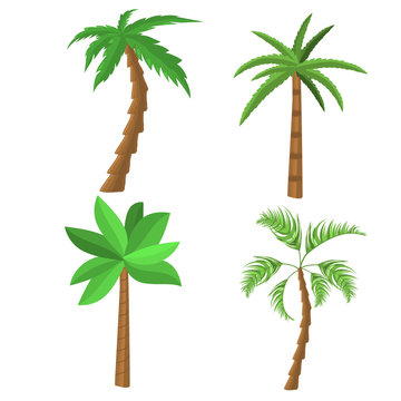 Tropical palm trees. Exotic palm trees collection. Miami trees, coconut palm or exotic hawaii forest green tree.
