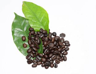 coffee beans on white background