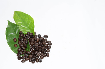 coffee beans on white background