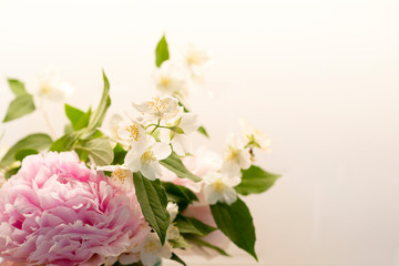 Spring flowers background in pink and white, with peony (paeonia) and mock-orange (philadelphus). Bouquet close up wallpaper with copy space on right side.