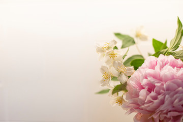 Spring flowers background in pink and white, with peony (paeonia) and mock-orange (philadelphus). Bw bouquet close up wallpaper with copy space on left side.