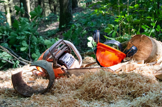 Scie et casque