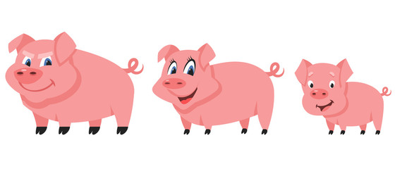 Pig family in cartoon style. Farm animals of different sex and age.