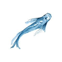 Obraz na płótnie Canvas blue fish in white pond