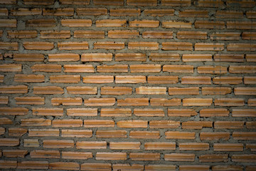 bricks wall for background.