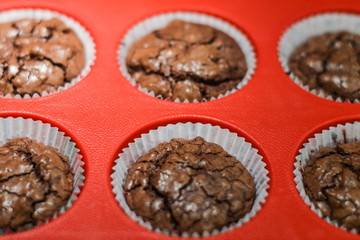 freshly baked chocolate muffins closeup