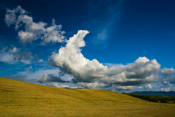 Tuscan landscape