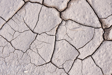 cracks. dry land