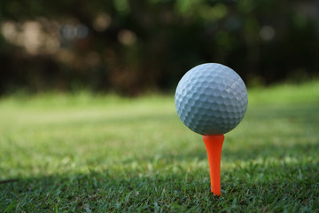 White golf ball on red tee in green grass