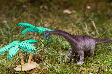 Brachiosaurus ,dinosaur on green grass background . Big neck