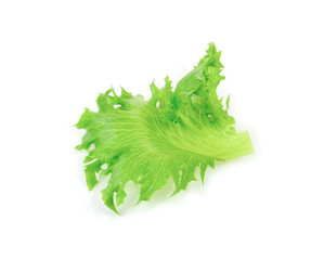 Fresh lettuce salad isolated on white background.