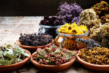 te' o tisana di erbe  spontanee sfondo scuro