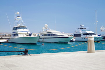 beautiful white yachts by the red sea