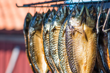 Dried smoked spiced mackerel fresh fish in a fish market