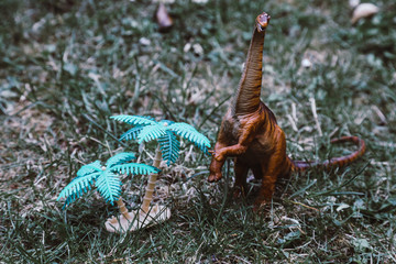 Brachiosaurus ,dinosaur on green grass background . Big neck © robin-clouet.fr