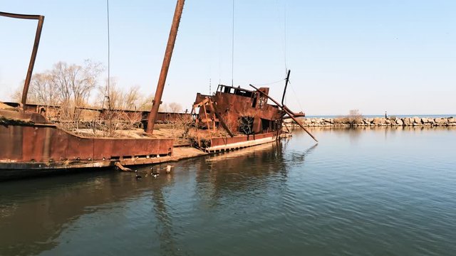 Drone of nesting geese on a shipwreck in the bay