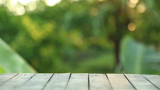 Blank wooden table with tropical green blurred nature background.