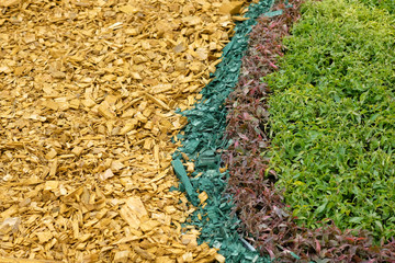 Decoration of flower beds with decorative multi-colored wood chips and plants. Landscaping in the...