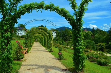 arches with roses in a park in Baden-Baden