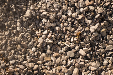 gray pebbles of different sizes and shapes