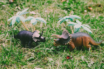 T REX Dinosaurs model on grass background