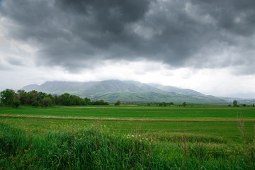 Beautiful spring and summer landscape. Lush green hills, high snowy mountains. Spring blooming...